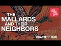 The Mallards and Their Neighbors - Chapters 19 &amp; 20