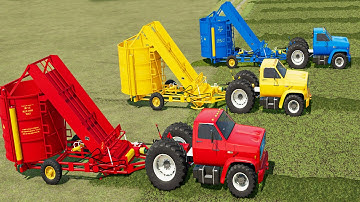 Loader Of Colors! Transporting TRUCKTOR & GRASS LOADING WITH WAGON TRAILERS! FS22