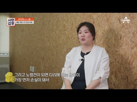 강아지가 소변을 해도 뽀송함을 유지하는 특수 원단?! 빨아쓰는 배변 패드 탄생 비화 | 서민갑부 384 회