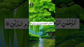 qraan I tilawat #surah al Fatiha #besttilawat #تلاوت #قرآن_کریم