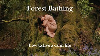 Forest Bathing  How To Find Slow Moments of Calm in a Busy Life