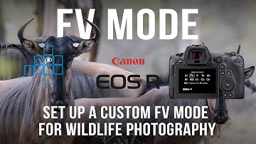 Canon R5 Custom Shooting Mode with Flexible Priority (Fv)