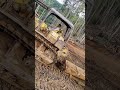 Skyding kayu log di PNG
