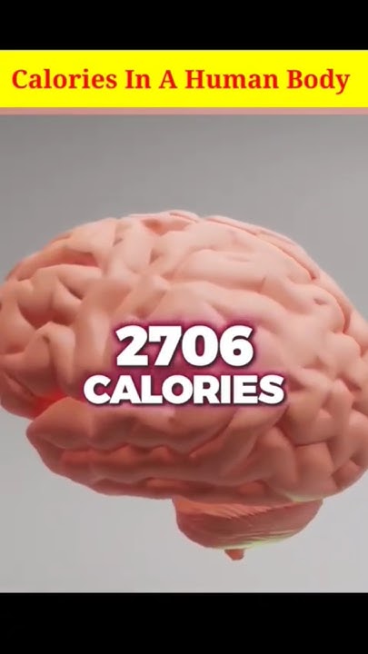 Calories In Human Body Fact Short Viral YouTube calories-in-human-body-fact-short-viral-youtube
