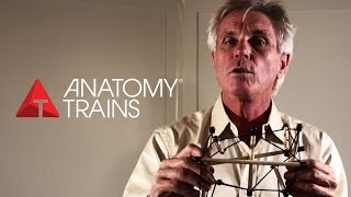 ANATOMY TRAINS - Tom Myers Full Interview