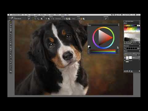 How to paint effortless fur in Painter 2020