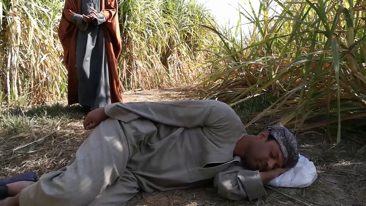 الحاج الضوى الفلوس بتغير النفوس