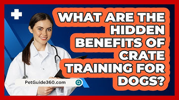 What Are The Hidden Benefits Of Crate Training For Dogs? - PetGuide360.com