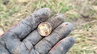 Поиск монет на GOLD HUNTER T90 FROG MAN. Про китайский металлоискатель Т90