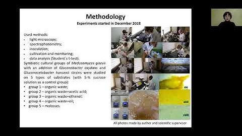4252 - METHOD OF BACTERIAL CELLULOSE PRODUCTION FROM PLANT WASTE SUBSTRATES