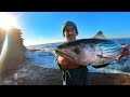 Rock Fishing for Bonito & Tailor 150m From My House - Fishing Australia