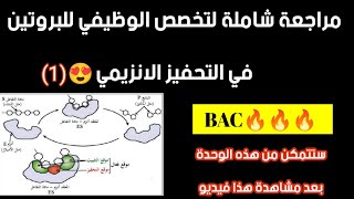 مراجعة شاملة لوحدة انزيمات👏الجزء الأول ✅ أمثلة من تمارين🔍