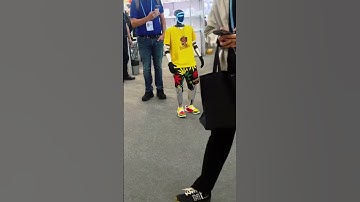 Robots Take the Stage at the Canton Fair 2025