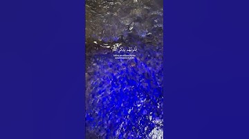 ألا بذكر الله تطمئن القلوب #تلاوة_خاشعة