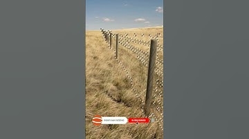 Remove fence in Photoshop #shorts #photoshop #shortsfeed
