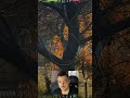Как качается в 2026 году самая худшая ветка World of Tanks? #worldoftanks #wot #миртанков #хочуврек