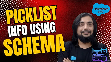 Picklist Info using Schema - Working with Data in Apex