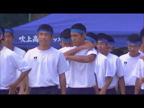 体育祭綱引き
