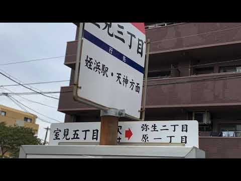 マーケットピア 宮脇書店 黒木室見店 福岡市早良区 の周辺施設動画一覧 1ページ マーケットピア 宮脇書店 黒木室見店 福岡市早良区 の周辺施設動画一覧 1ページ