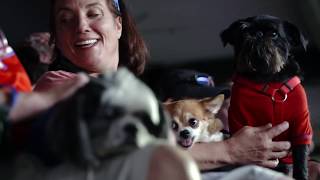 Bark in the Park - Texas Rangers