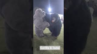 #funny video Gorilla