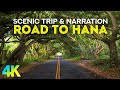 ROAD TO HANA - Relaxing Scenic Trip through Maui Island + Reasons To Visit This Tropical Paradise