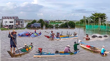 Mưu Sinh Mùa Nước Nổi Miền Tây | Chợ Cá Nổi Ngay Trên Cánh Đồng