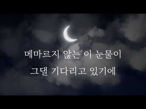 시드사운드 - 천년의 꽃 [가사 자막]