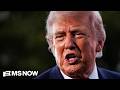 'Every single taxpayer is being robbed': Trump goes too far with money grab for criminal allies