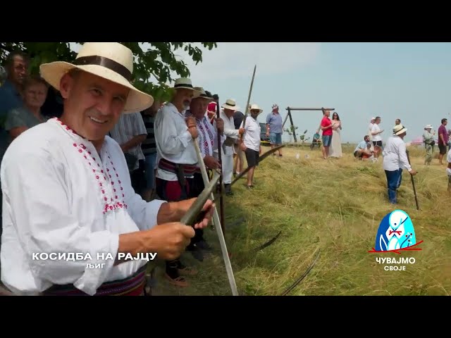 KOSIDBA NA RAJCU, Ljig | Čuvajmo svoje | Balkan Trip TV