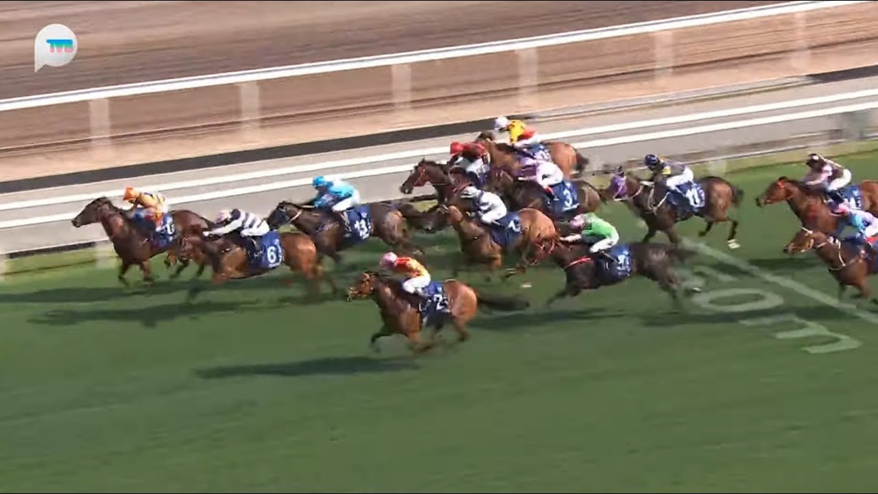 HKJC香港打吡大賽 HONG KONG DERBY 一級賽 G1 2000m 2025-03-23 百賀飛駒 CAP FERRAT 沙田馬場 Shatin Racecourse