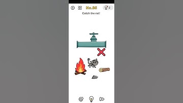 brain out level 85 catch the rat! brain out level 85 solution