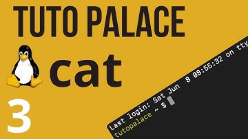 03 Terminal Linux  - commande cat