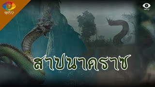 ประสบการณ์พบเจอพญานาค ของพรานเฒ่าแห่งป่าดงพญาไฟ (สาปนาคราช)