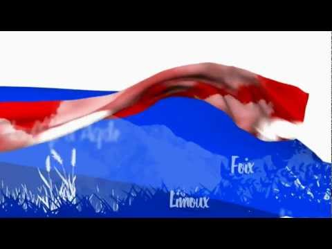 Intro Sequence (MC Project)