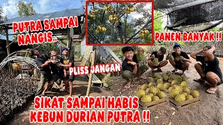 HABISIN KEBUN DURIAN PUTRA SAMPAI GUNDUL !! akibat putra makan durian cuma ngajak feri