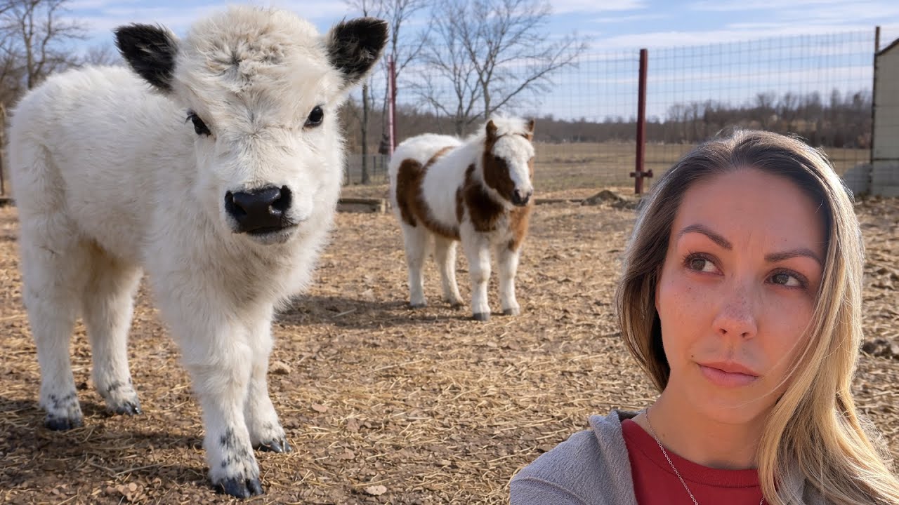 We had to ask for help — and that’s okay...