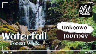 DEVIL’S GLEN #WaterFall and #forest - Cinematic 4K | Dublin ireland 🇮🇪#wicklow #wicklowmountains
