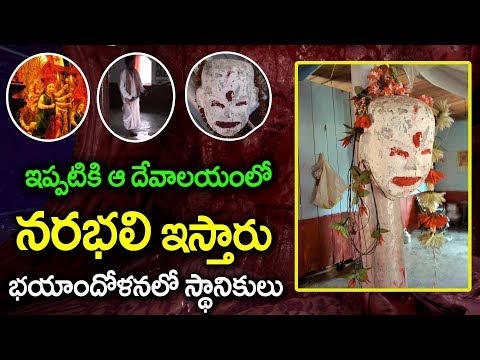 నరబలి కన్యబలి ఎందుకు ఇస్తారు? I durga devi temple I Rectv mystery