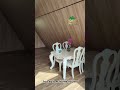 hot sale A frame house