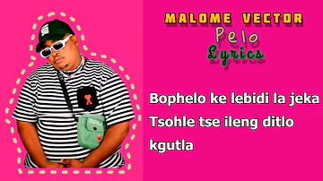 Malome Vector - PELO lyrics #trending #malomevector