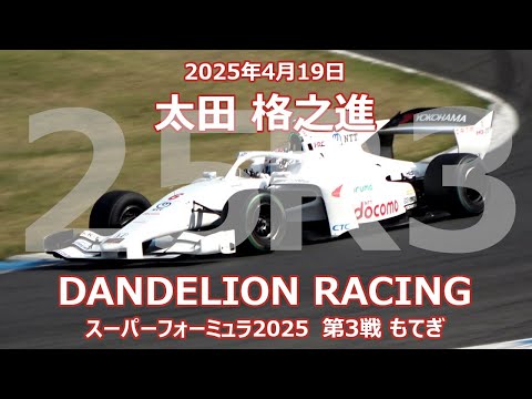 激レア ダンデライオン アプリコット 激レア ダンデライオン アプリコット