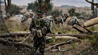 Afrique : les chasseurs de braconniers au Kenya