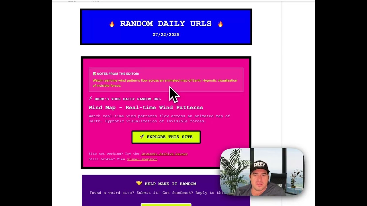 My newsletter is live! (Fox and squirrels) | Build in public E124