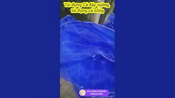 Những điều chưa biết về túi đựng cá sống dạng hình hộp, mắt lưới 3mm. #shorts