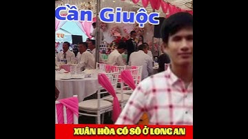 Xuân Hòa có sô đám cưới / Lang Thang Vlog