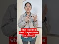 Why fibres are important?#science #biology #neetpreparation#viralvideo #explore #sccresults