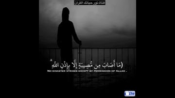 اية من سورة التغابن(مَا أَصَابَ مِن مُّصِيبَةٍ إِلَّا بِإِذْنِ اللَّهِ وَمَن ... )(11)راحة نفسية