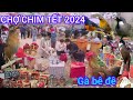 CHỢ CHIM TẾT 2024 BẤT NGỜ GẶP 3 CON CHIM LẠ HÓT RẤT HAY VÀ CON GÀ BÊ ĐÊ 800K