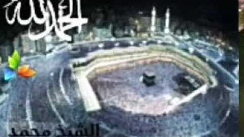 سورة التكوير،،، الشيخ محمد المحيسني